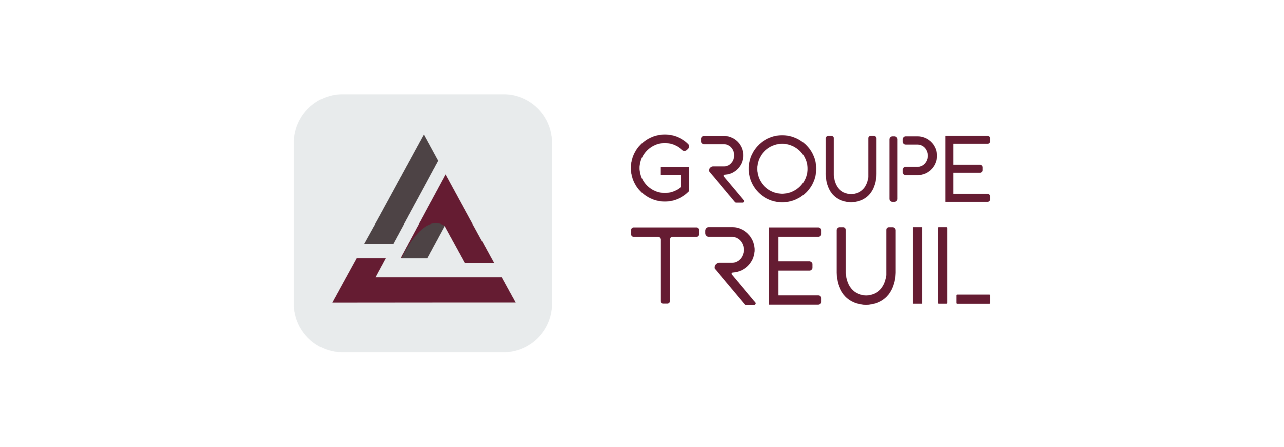 GROUPE TREUIL